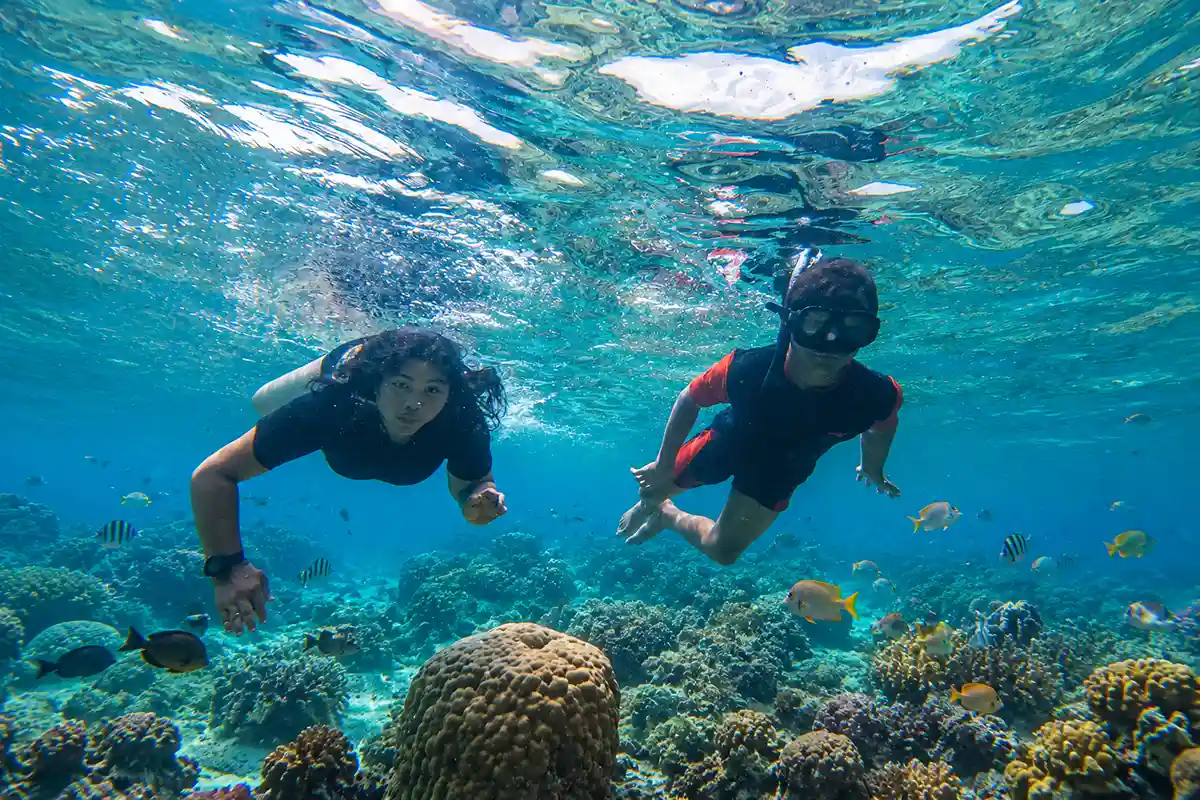 kegiatan saat snorkling dan pesona alam bawah laut pulau harapan