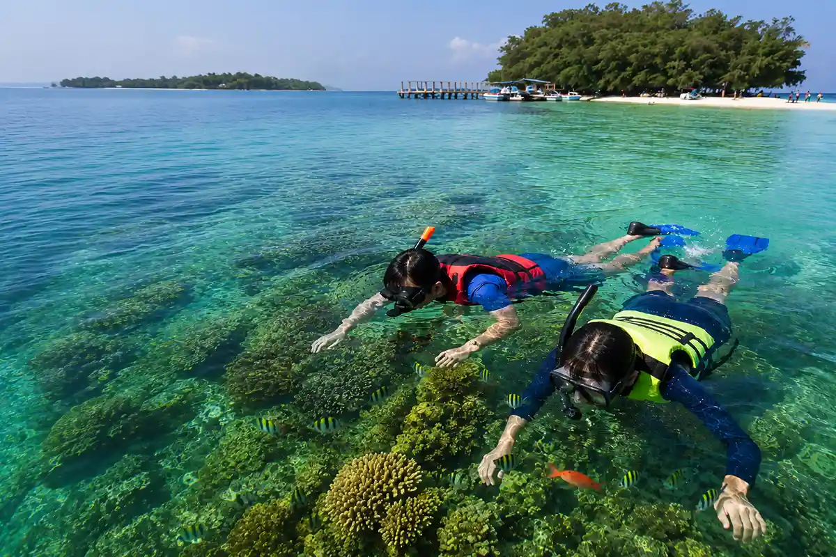 Snorkeling dalam Open Trip Pulau Harapan 2 hari 1 malam