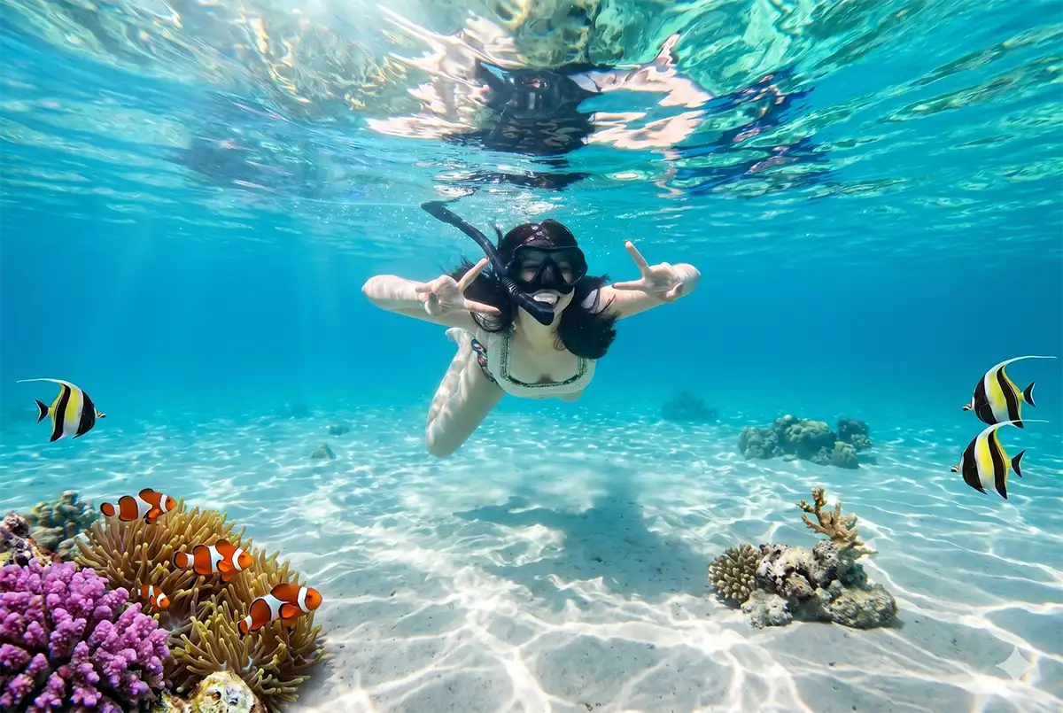 Snorkeling Pulau Harapan di perairan jernih Kepulauan Seribu