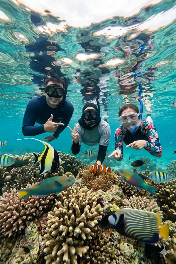 Wisata Pulau Harapan dengan aktivitas snorkeling di Kepulauan Seribu
